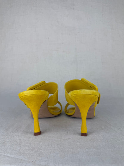 Manolo Blahnik Gable Suede Open-Toe Mules with Large Buckle sz 38.5
