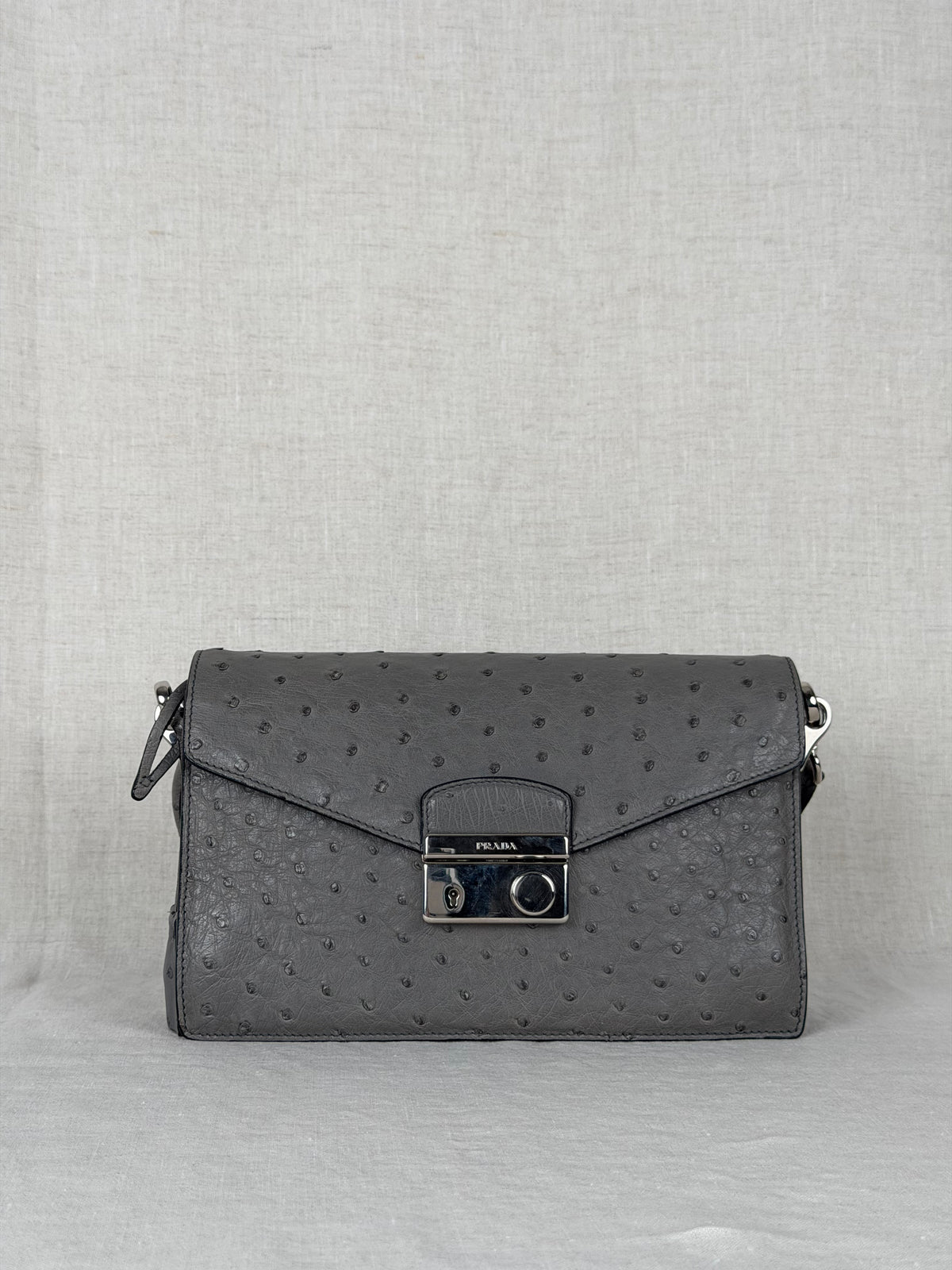 Prada Ostrich Leather Flap Bag - Grey