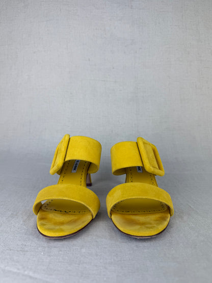 Manolo Blahnik Gable Suede Open-Toe Mules with Large Buckle sz 38.5