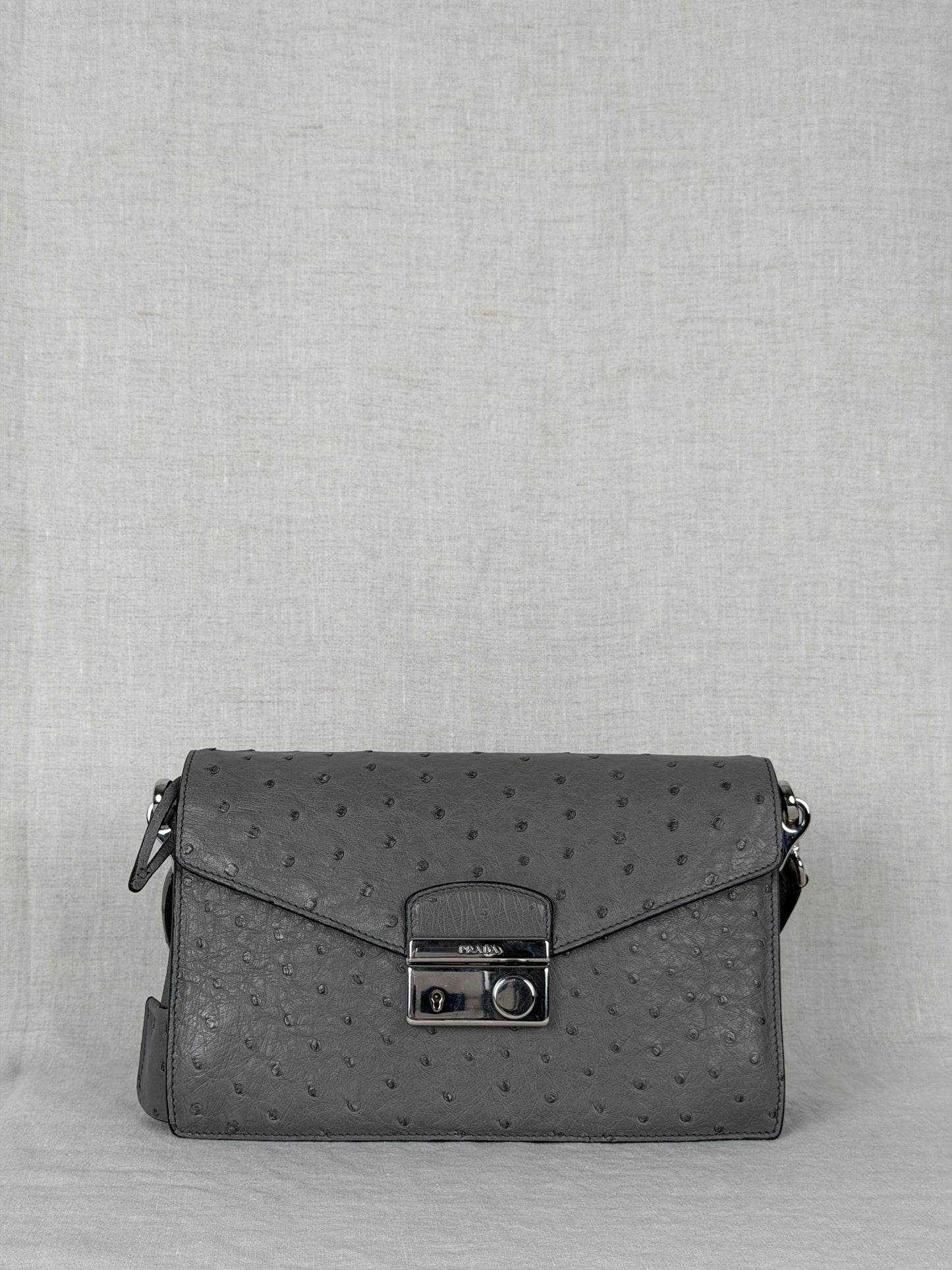 Prada Ostrich Leather Flap Bag - Grey