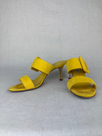 Manolo Blahnik Gable Suede Open-Toe Mules with Large Buckle sz 38.5