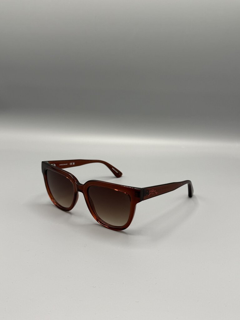 Oversized Clear Brown Sunglasses