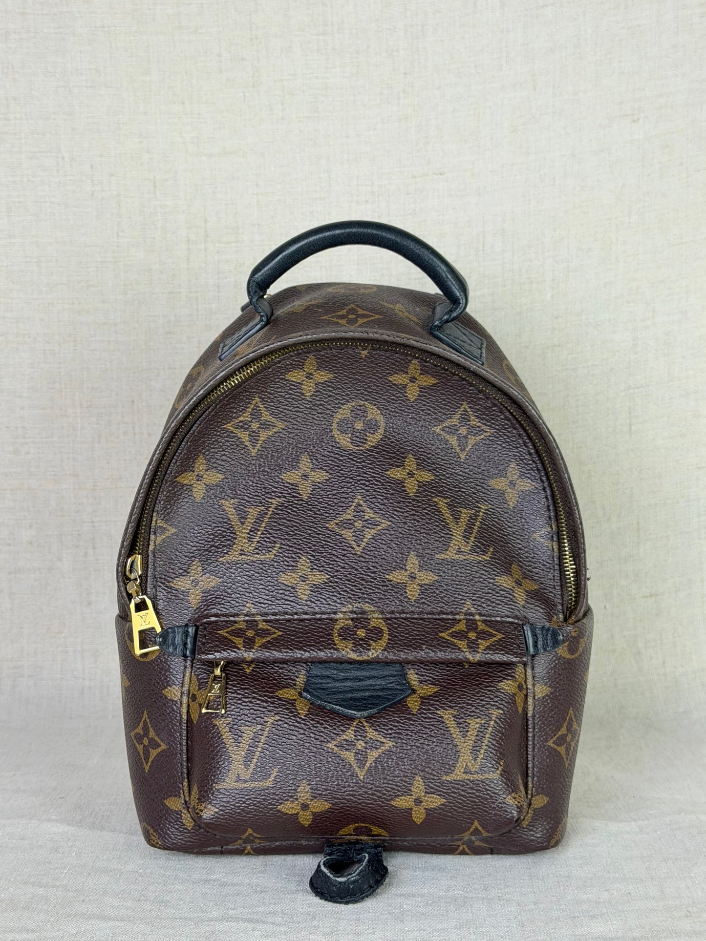 Louis Vuitton Monogram Palm Springs Backpack Mini