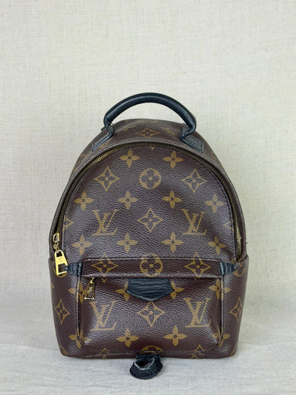 Louis Vuitton Monogram Palm Springs Backpack Mini