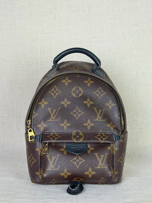 Louis Vuitton Monogram Palm Springs Backpack Mini