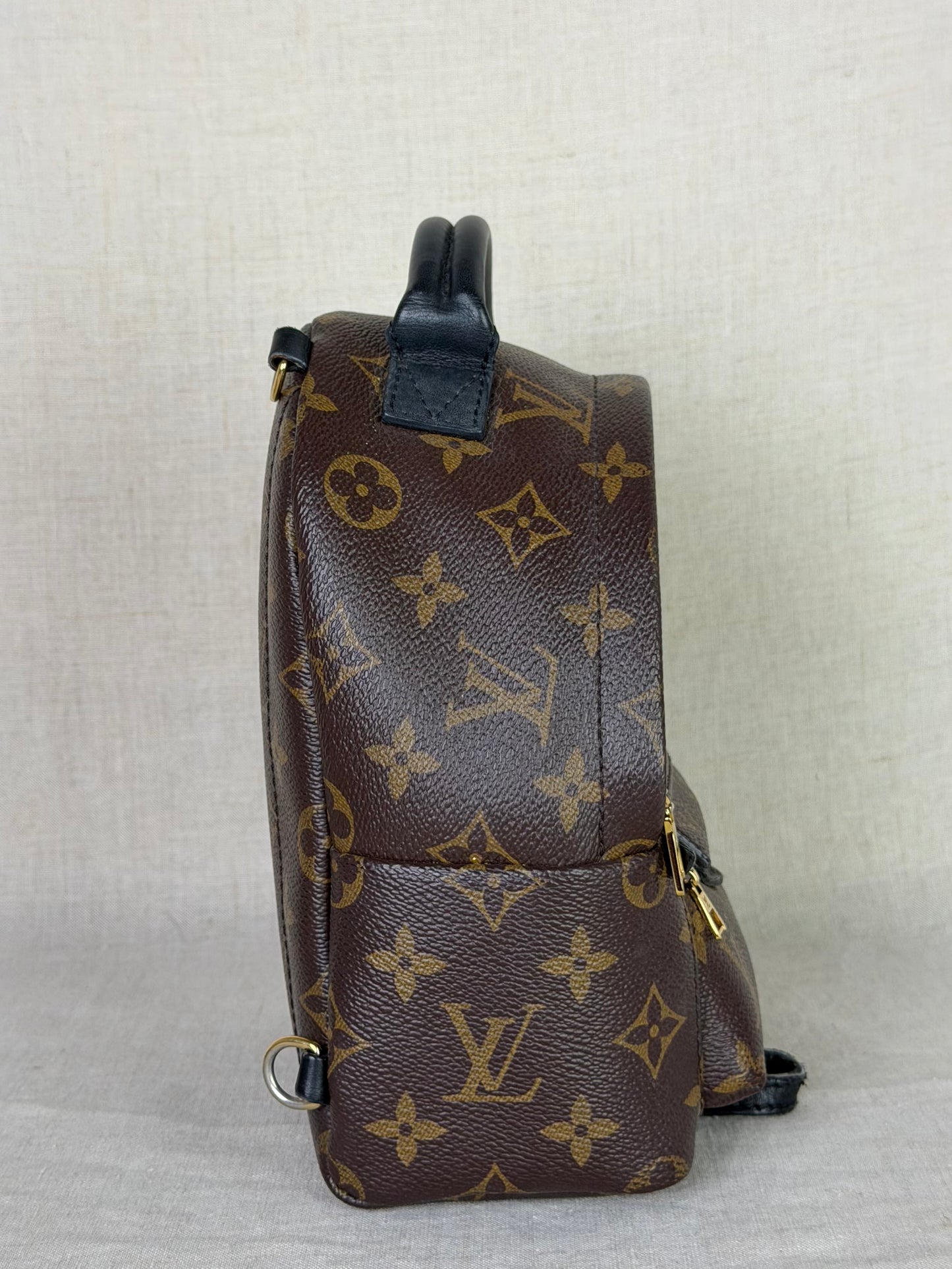 Louis Vuitton Monogram Palm Springs Backpack Mini