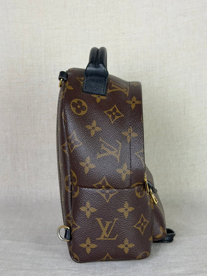 Louis Vuitton Monogram Palm Springs Backpack Mini