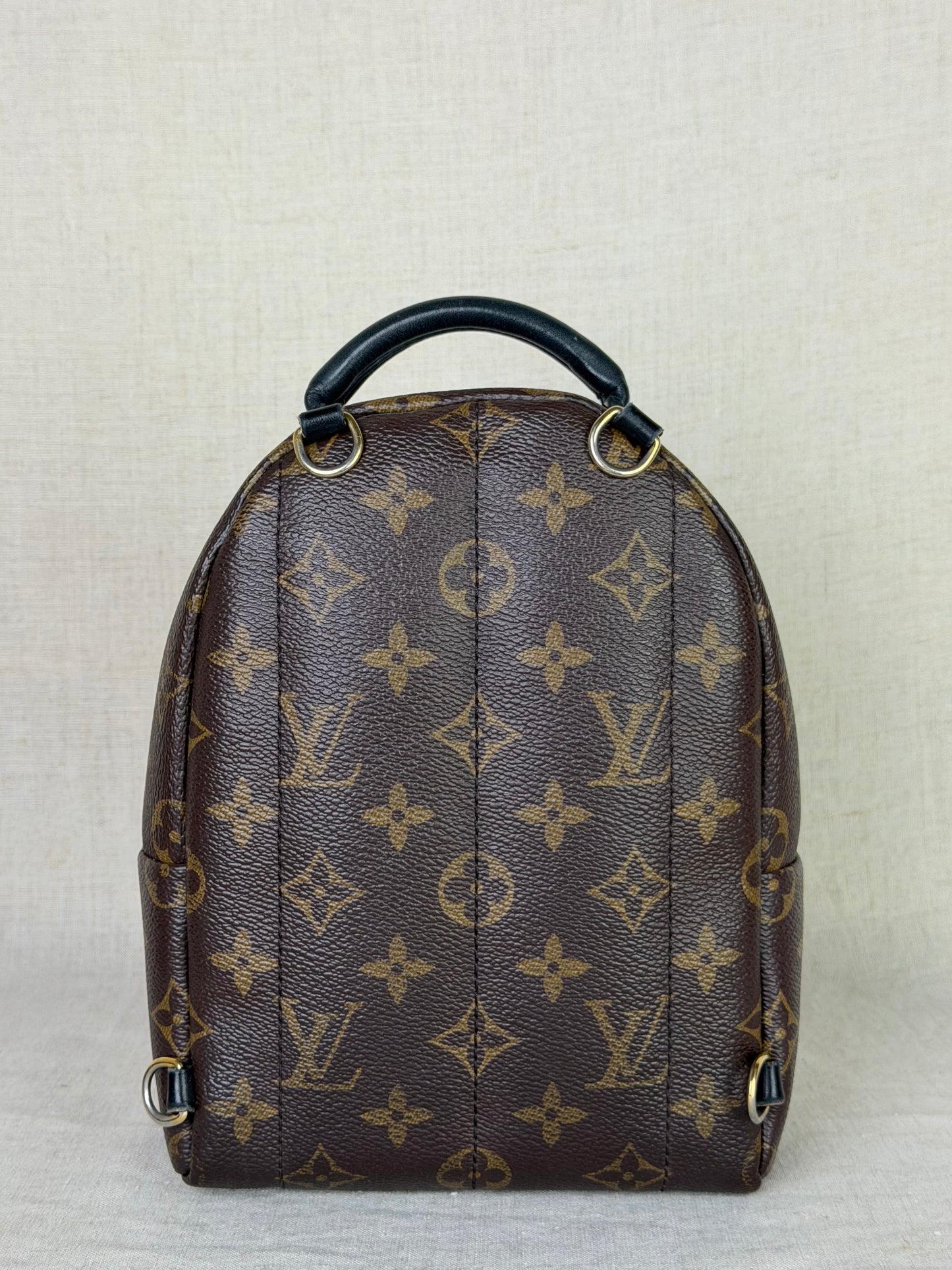 Louis Vuitton Monogram Palm Springs Backpack Mini