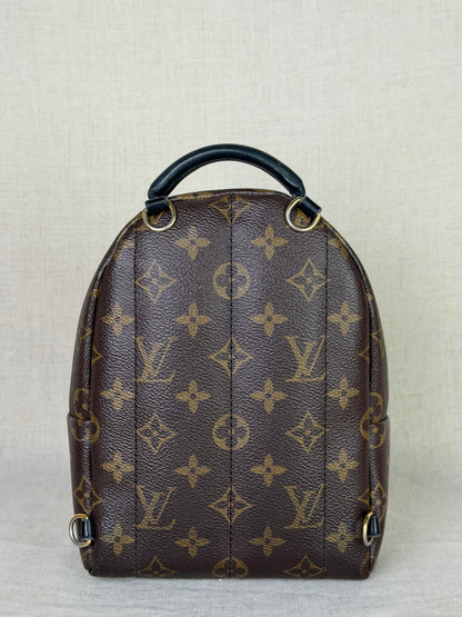 Louis Vuitton Monogram Palm Springs Backpack Mini