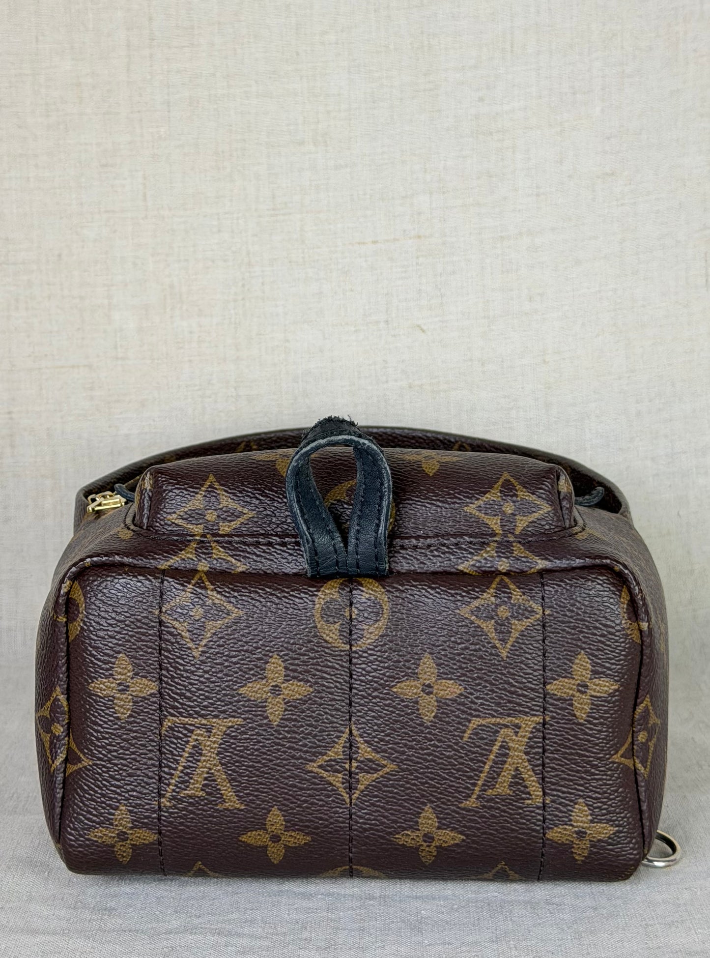 Louis Vuitton Monogram Palm Springs Backpack Mini