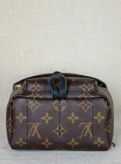 Louis Vuitton Monogram Palm Springs Backpack Mini