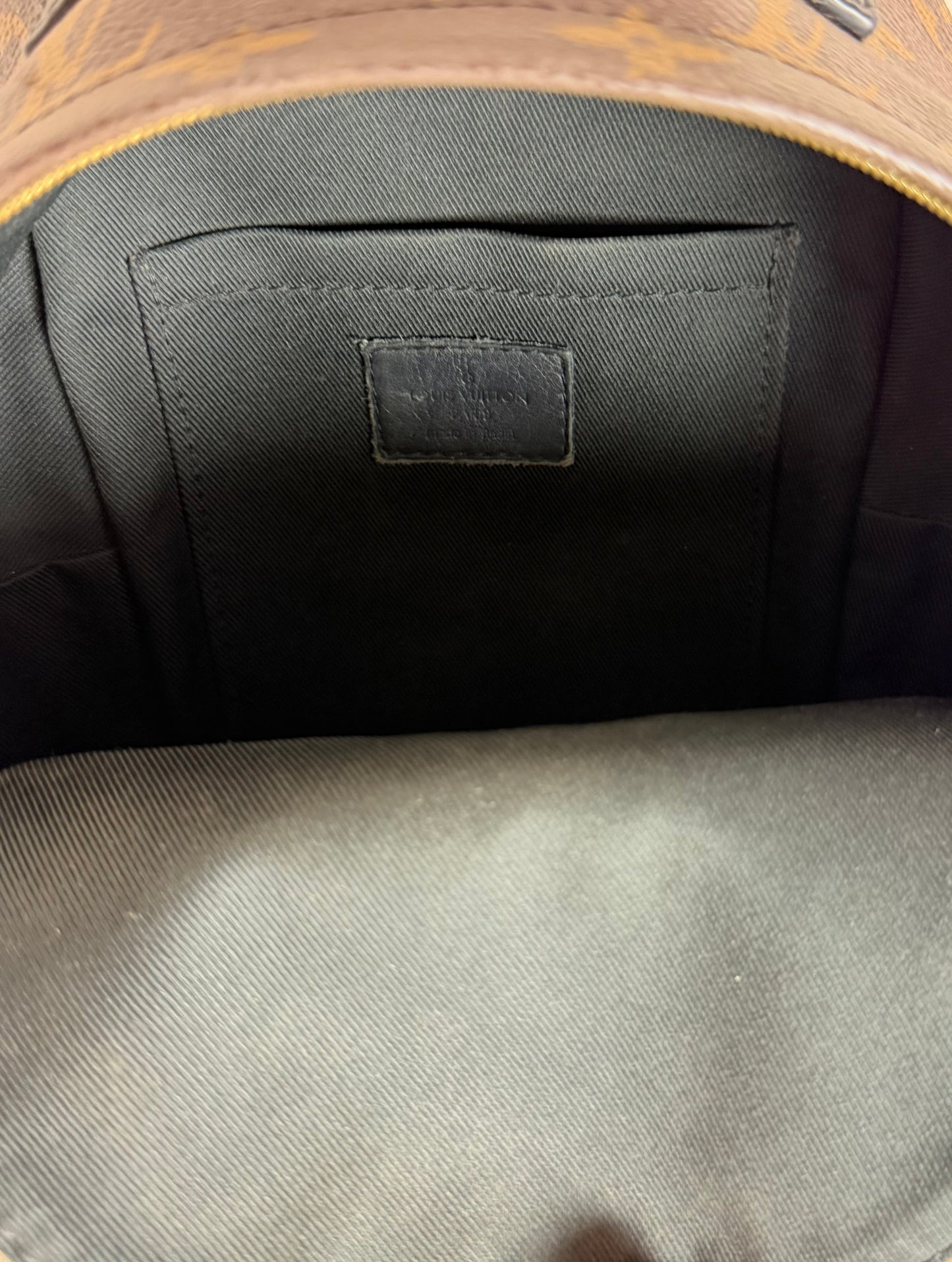 Louis Vuitton Monogram Palm Springs Backpack Mini