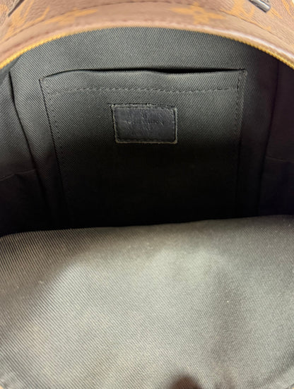 Louis Vuitton Monogram Palm Springs Backpack Mini