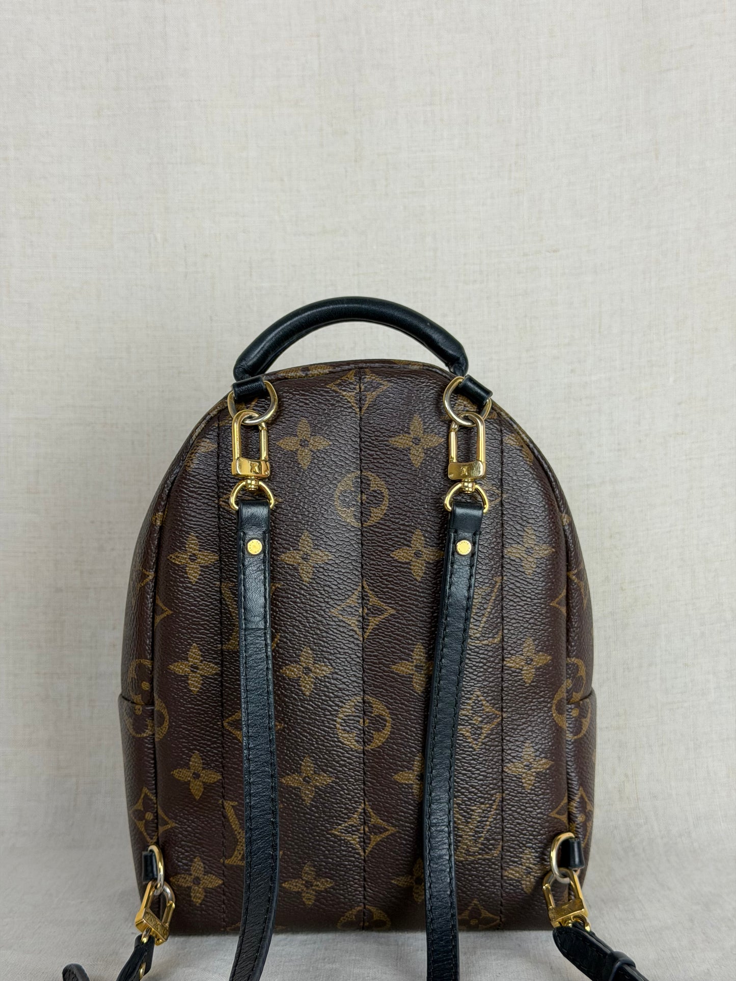 Louis Vuitton Monogram Palm Springs Backpack Mini
