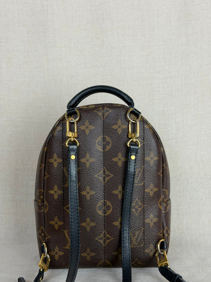 Louis Vuitton Monogram Palm Springs Backpack Mini