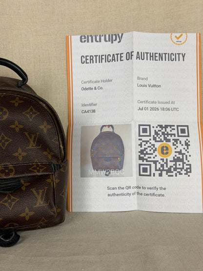 Louis Vuitton Monogram Palm Springs Backpack Mini